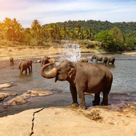 about ceylontravel.info