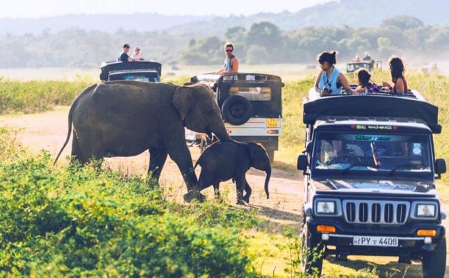 ceylontravel-safari